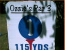 ozzie osborn